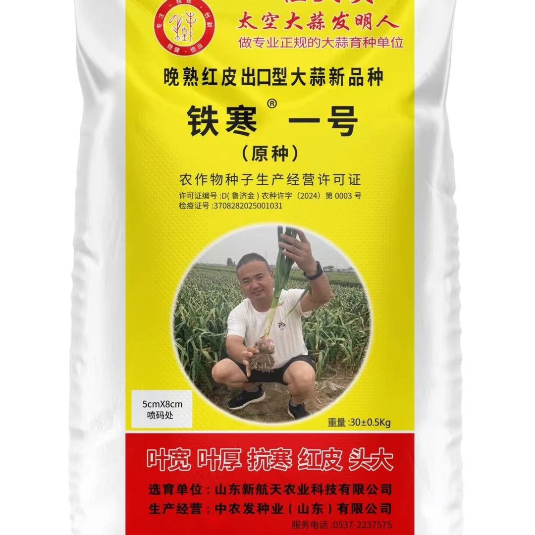 铁寒一号晚熟红皮大蒜新品种