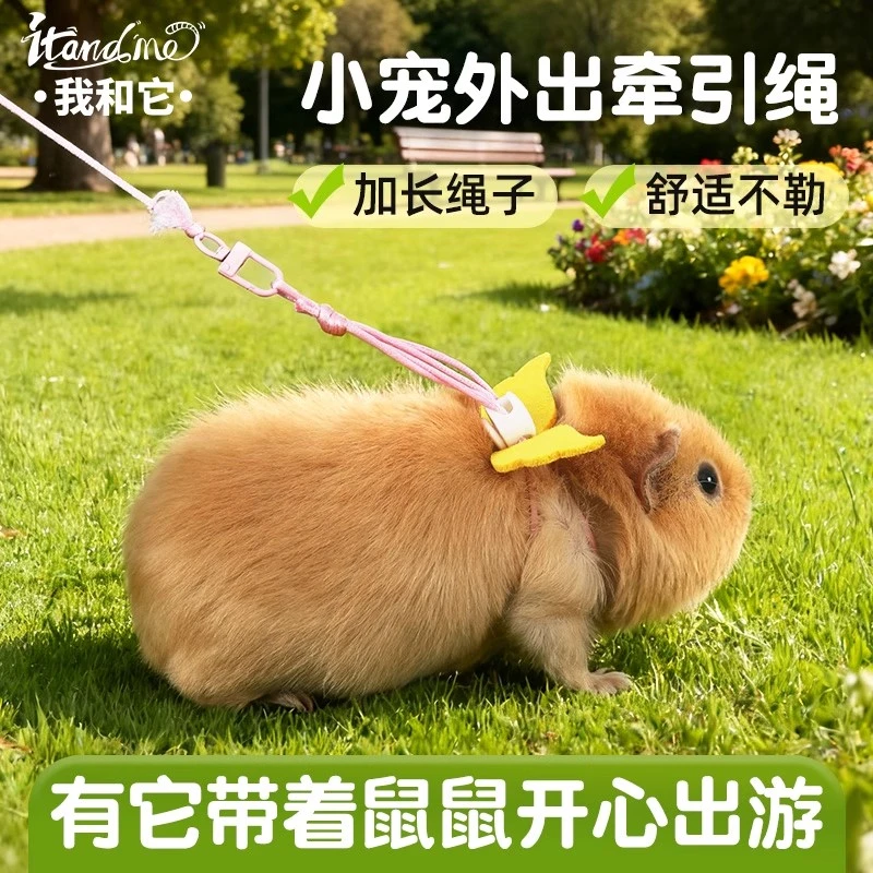 我和它荷兰猪牵引绳豚鼠仓鼠金丝熊侏儒兔龙猫外出遛鼠绳小宠通用