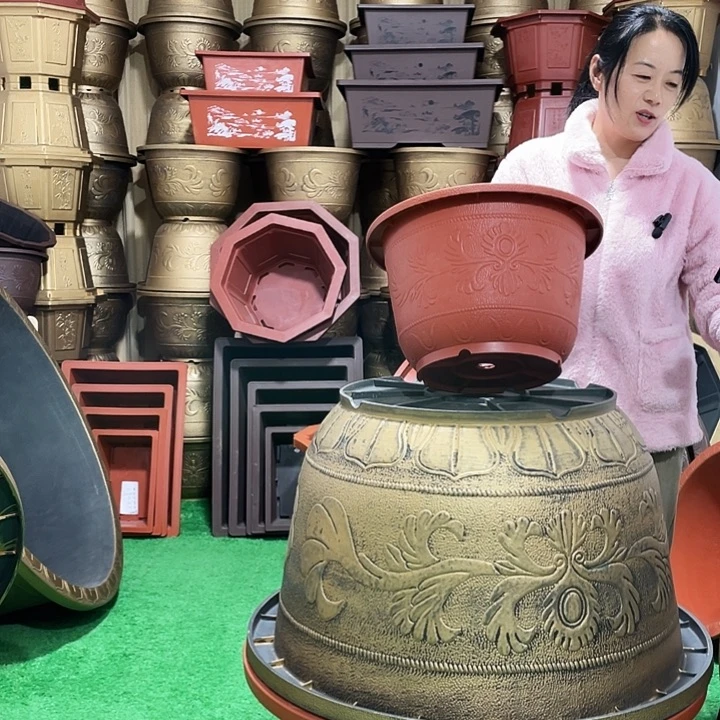 圆盆红色四零六个