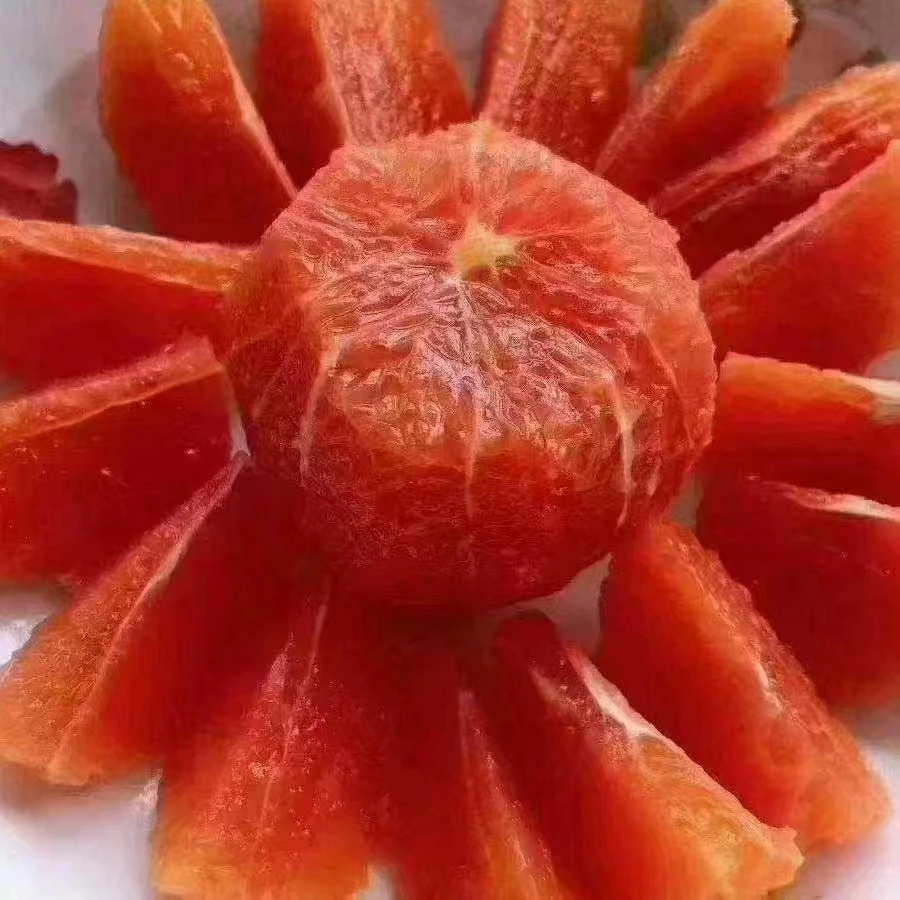 湖北秭归农家优选红橙