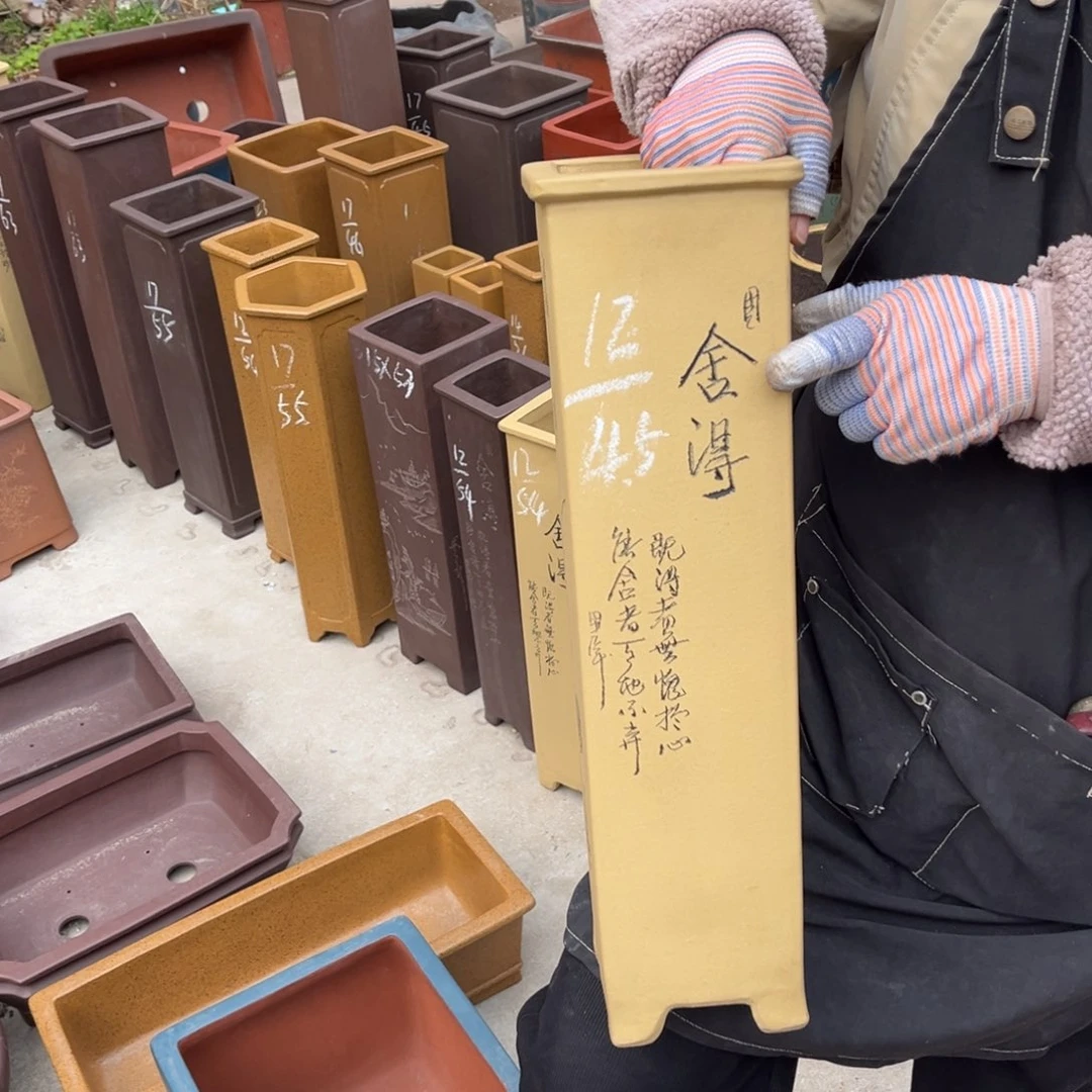 紫砂花盆盆景艺术