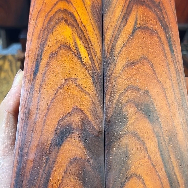 微凹黄檀对阵一对