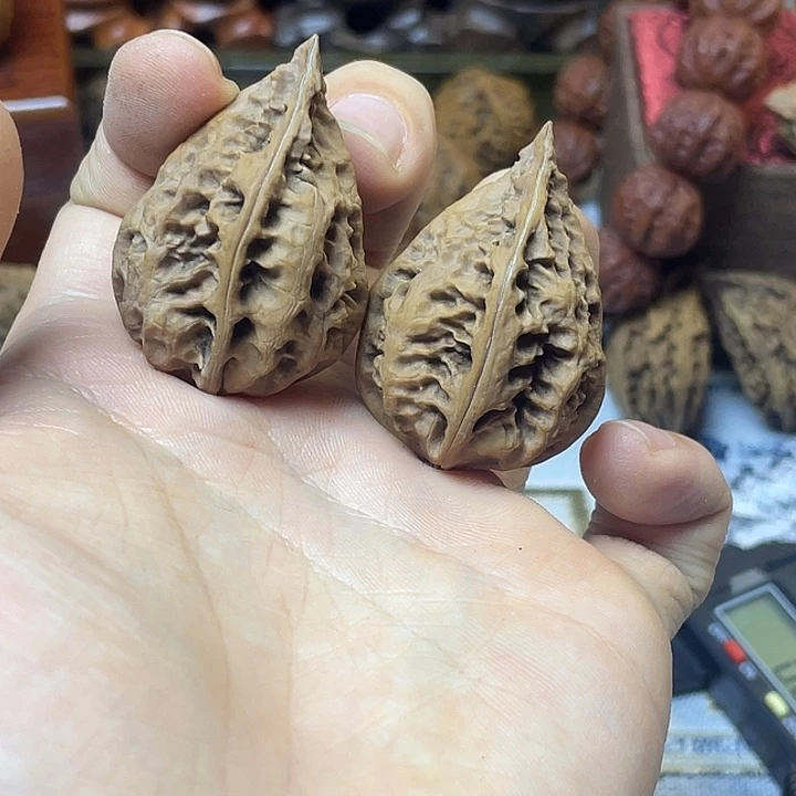 核桃东北楸子三角龙30