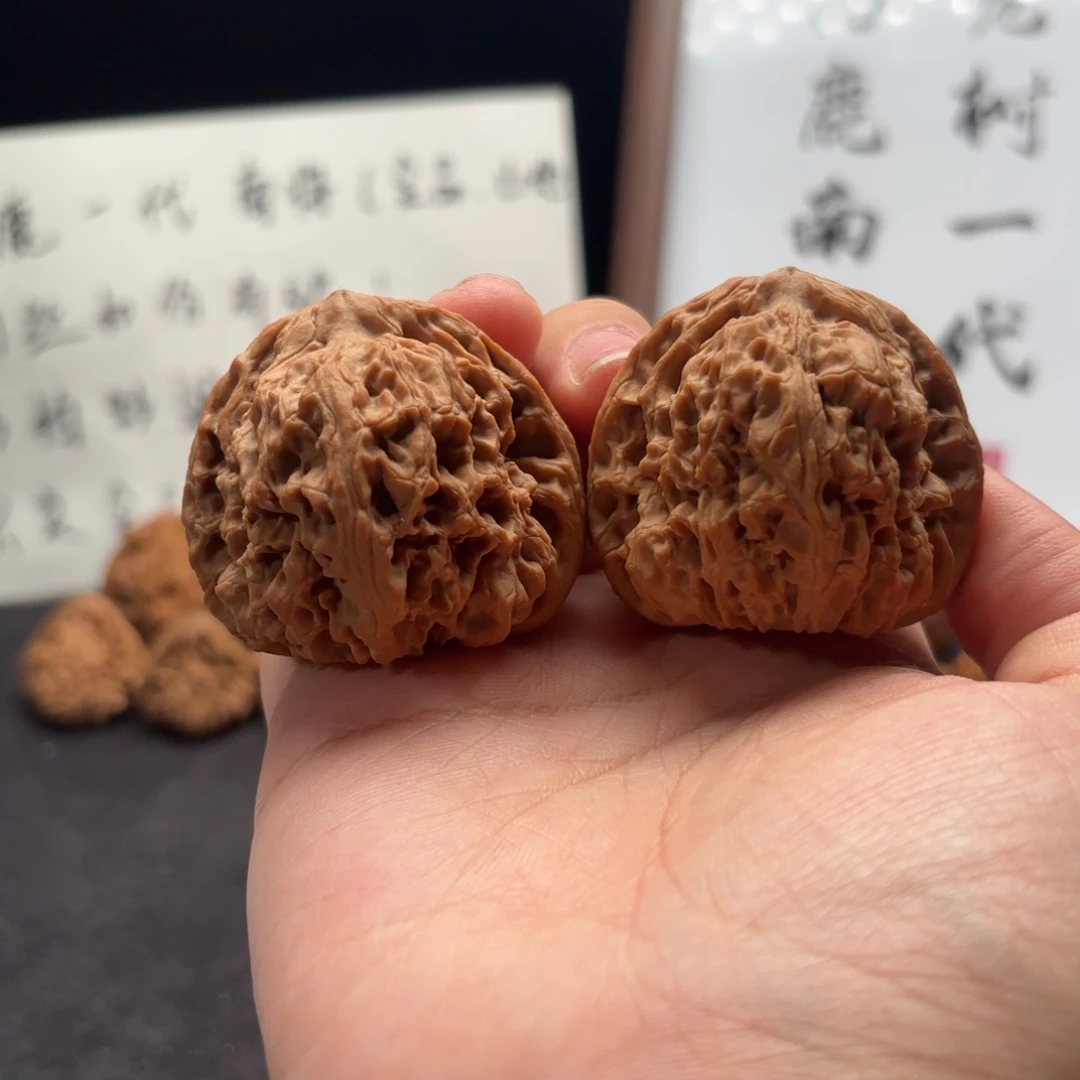 核桃涿鹿球南疆涿鹿