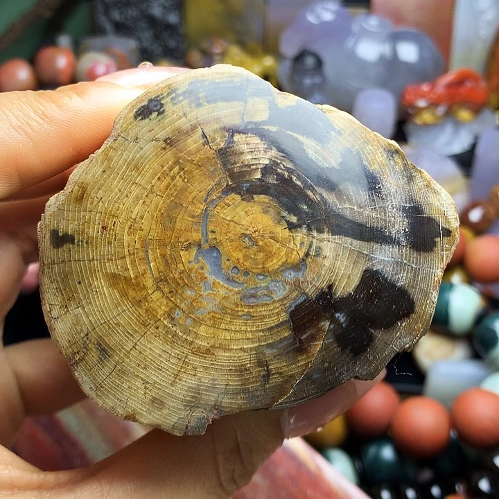 硅化玉未镶嵌吊坠(不含链)