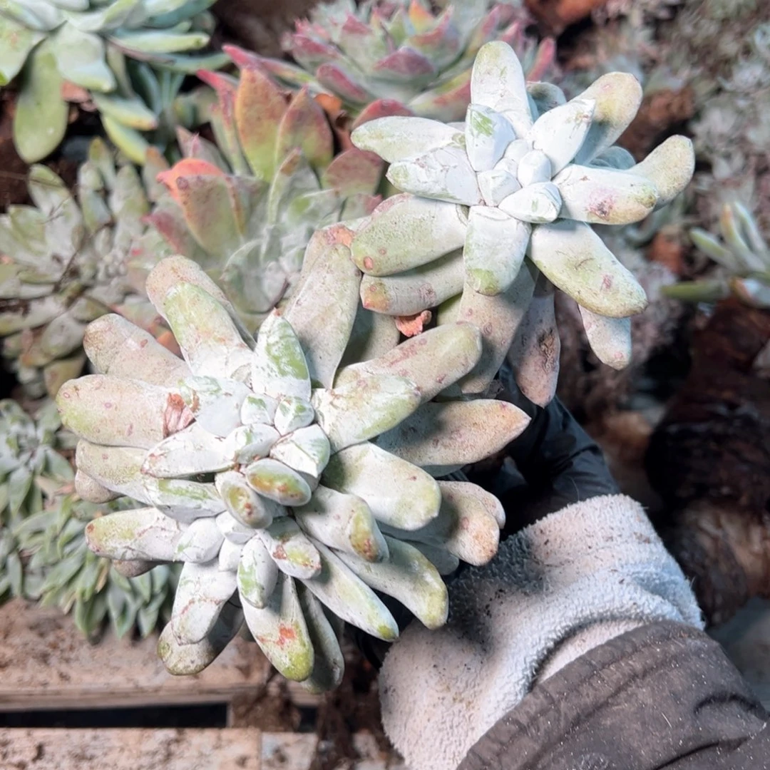 8010哈哈哈哈哈哈哈哈