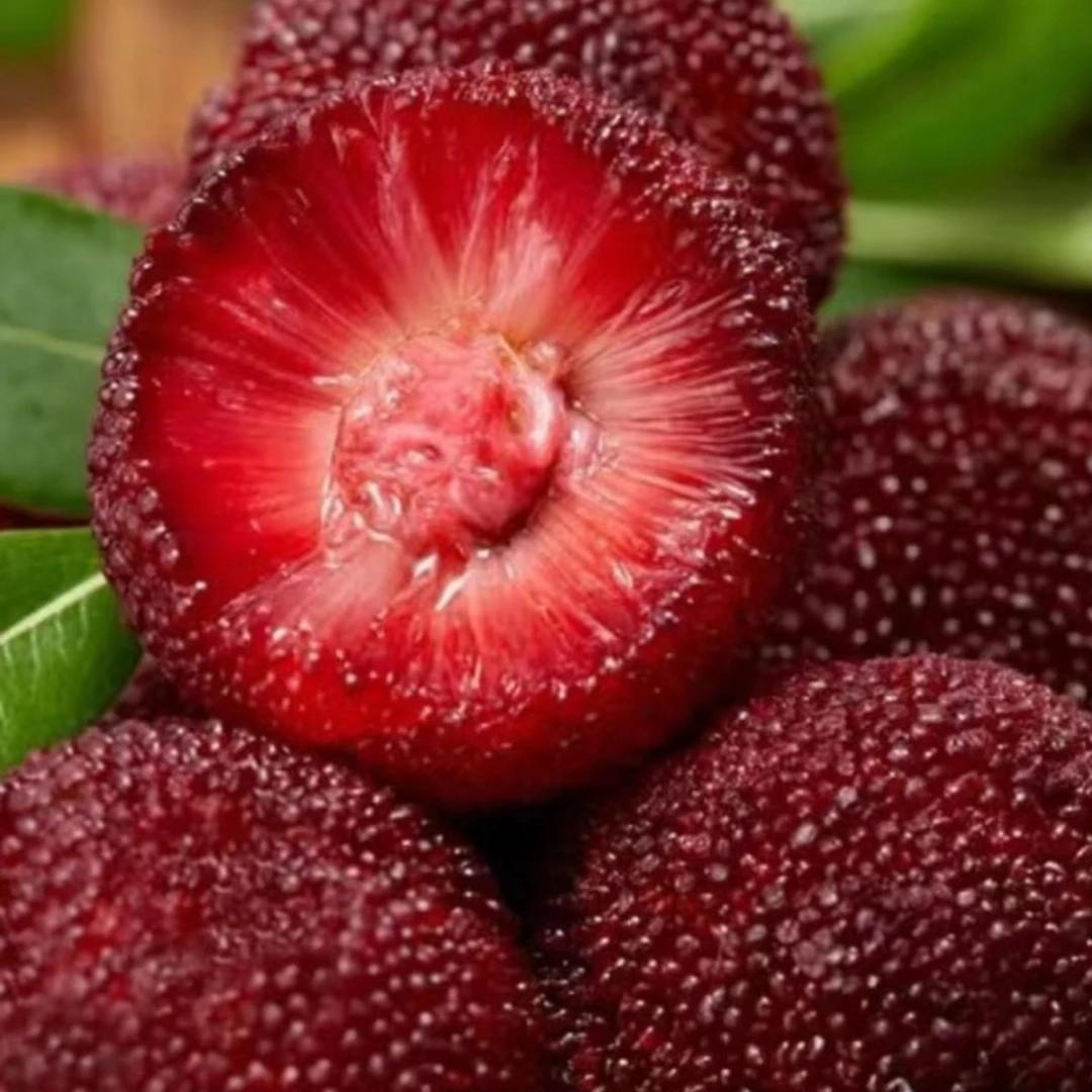 杨梅 齁甜可口肉厚核小新鲜采摘 1件3.5斤起 辽宁发货新鲜杨梅云南省