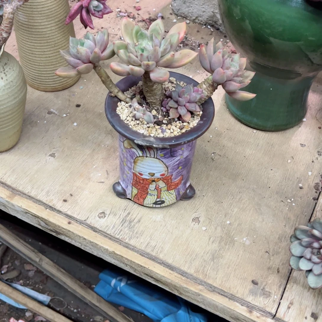 你是否还记得你曾经说