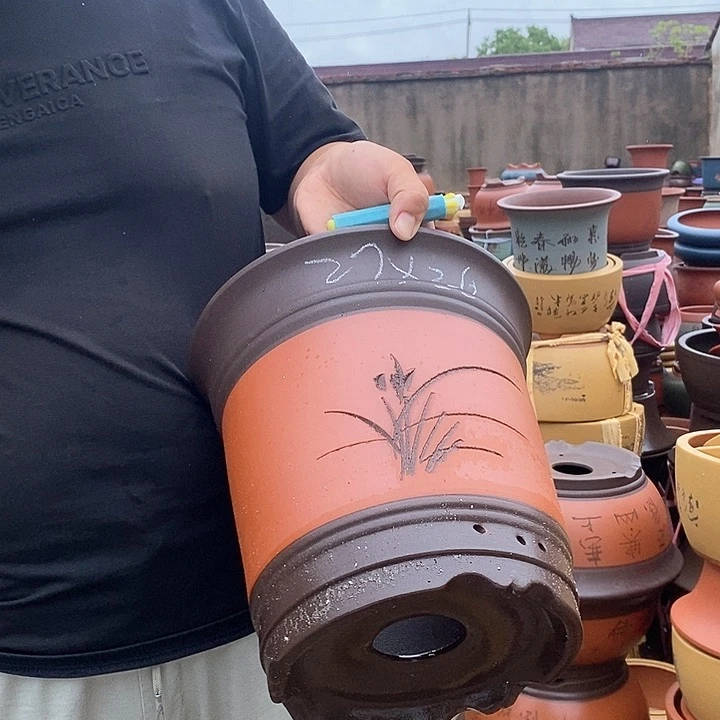 紫砂花盆盆栽植物观赏