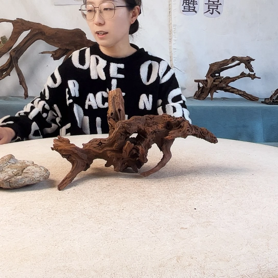 沉木造景爬宠造景