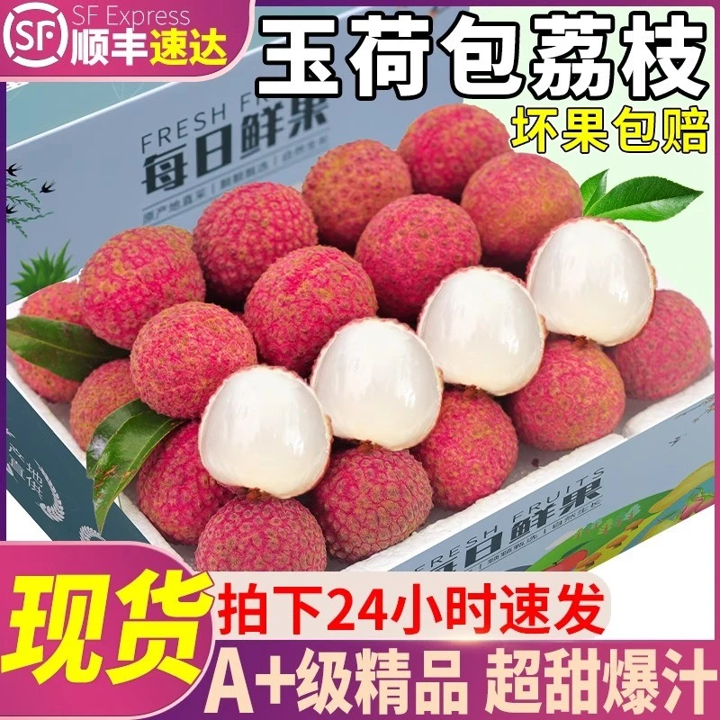 【现货现发】漳州双肩玉荷包荔枝新鲜果园直采当季时令水果鲜果包邮