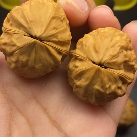 文玩核桃把件39尺金龟