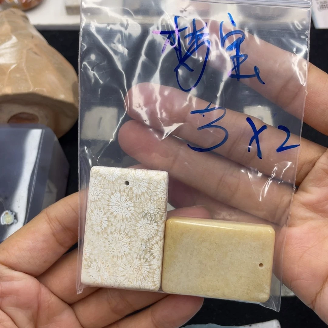 硅化珊瑚（珊瑚玉）合金颈饰?*宝