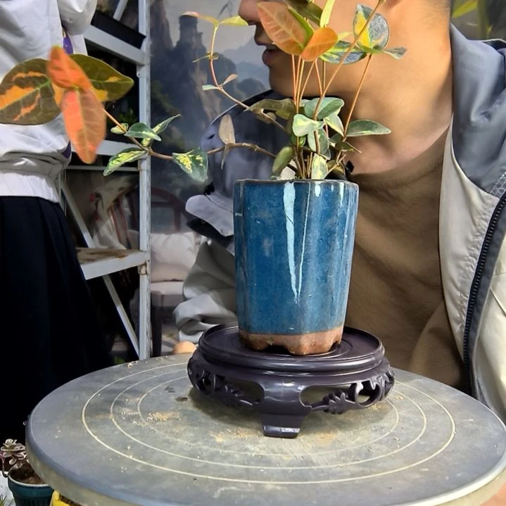 炜中青园艺一物一拍95