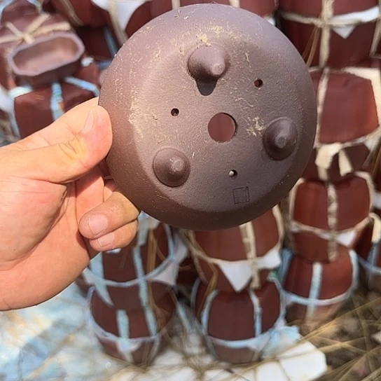 这个我都想了啊好开心
