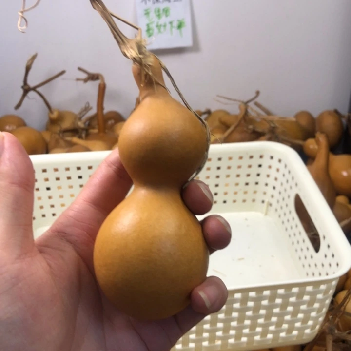 1.5一个葫芦1111111111