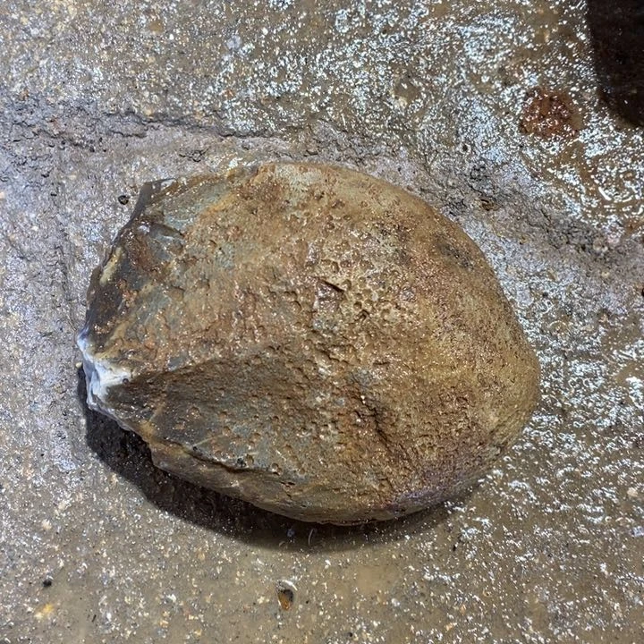 定制玛瑙用****1定制玛瑙手镯