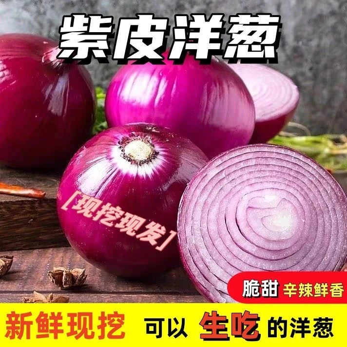 水果洋葱云南高山种植紫皮洋葱现挖现发5斤包邮一整箱