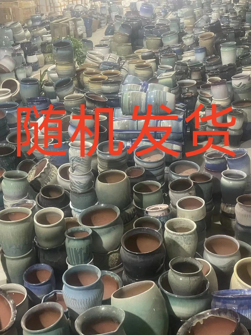 中号花盆随机发一个