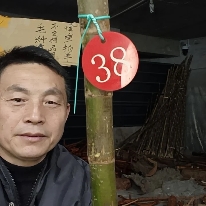 稳定木李*贵州檬子木   铁马鞭   根艺  半成品