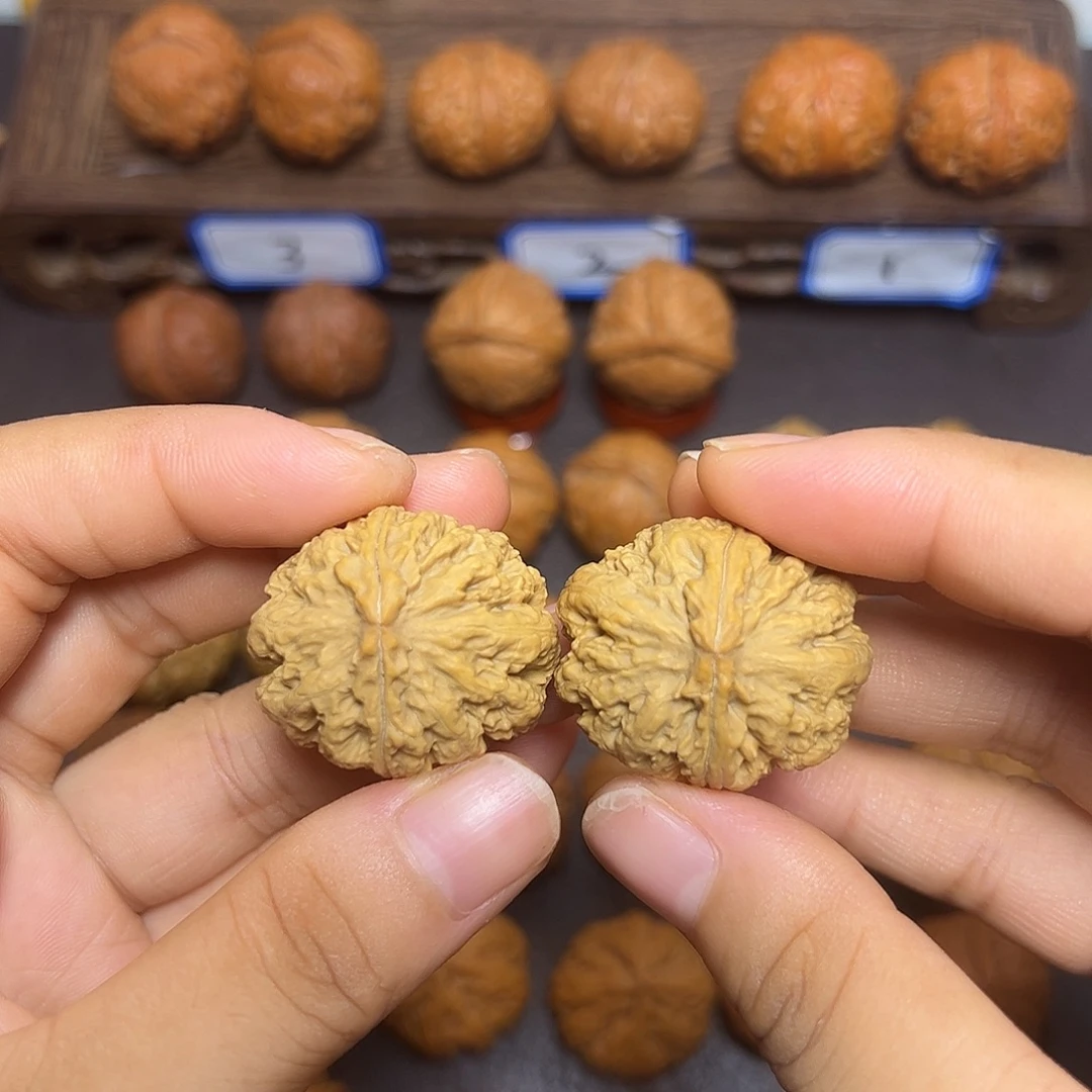 把件文玩核桃焖尖白狮子32