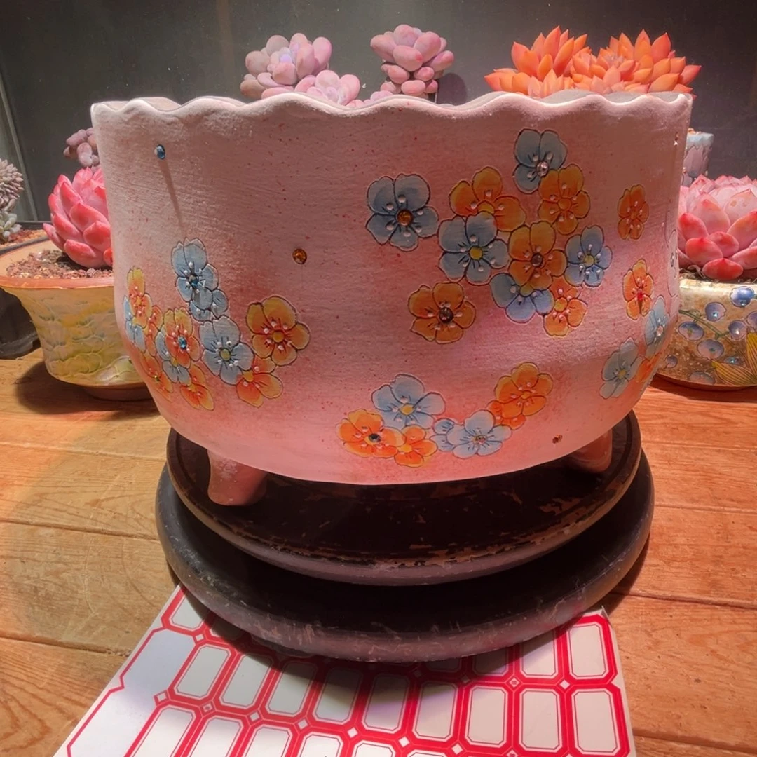 蜡****?一物一图，寄养