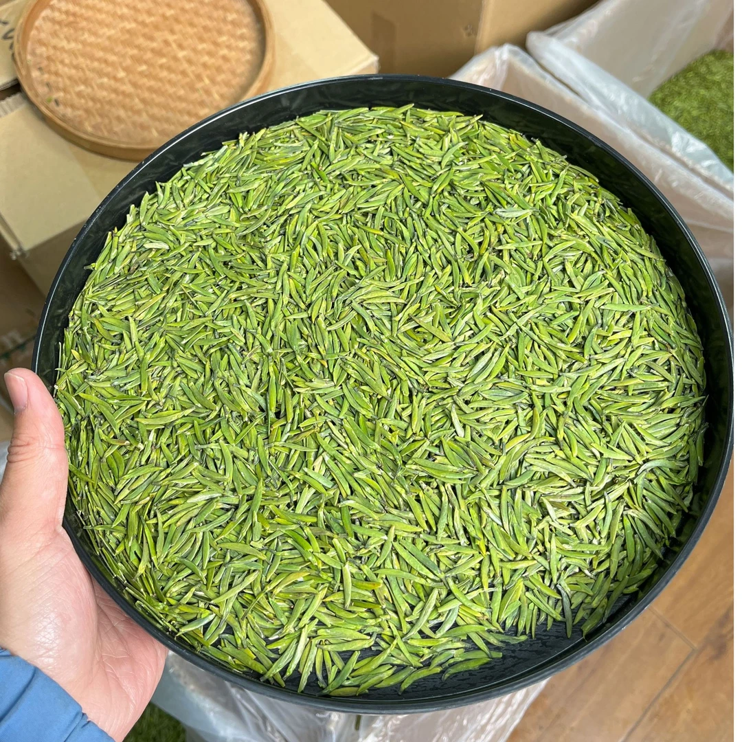 2025年雀舌 明前单芽绿茶正宗峨眉山雀舌全嫩芽散装称重