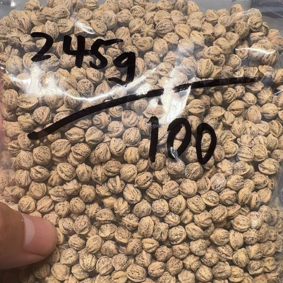 柏香籽/百香籽吊坠?****✨