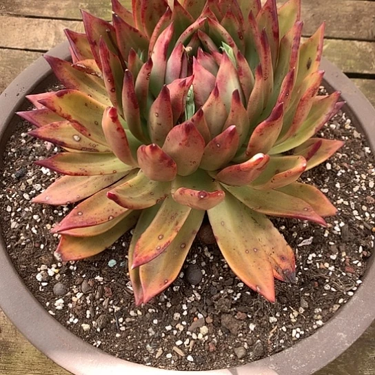 A**y每周特价活动开始啦