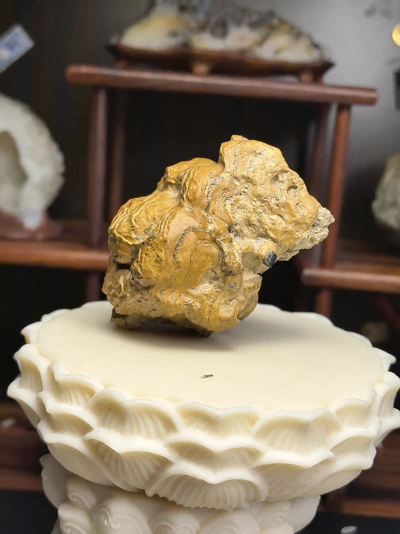 内蒙古阿拉善天然戈壁石沙漠漆标本