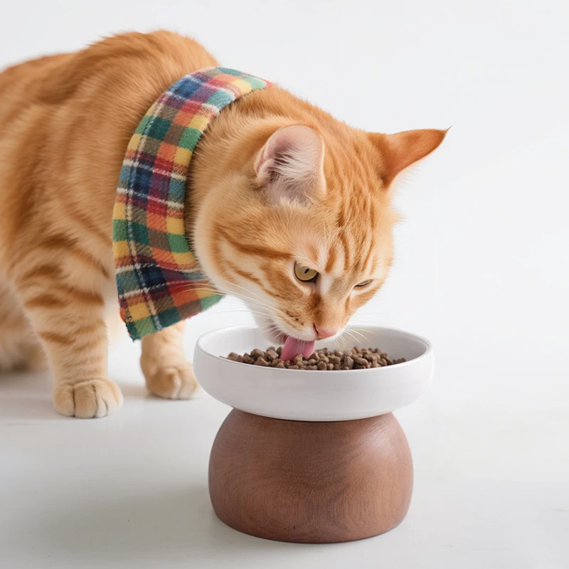 陶瓷猫碗湿粮碗分体式高脚护颈猫咪餐盘实木底座原木风小狗狗饭碗