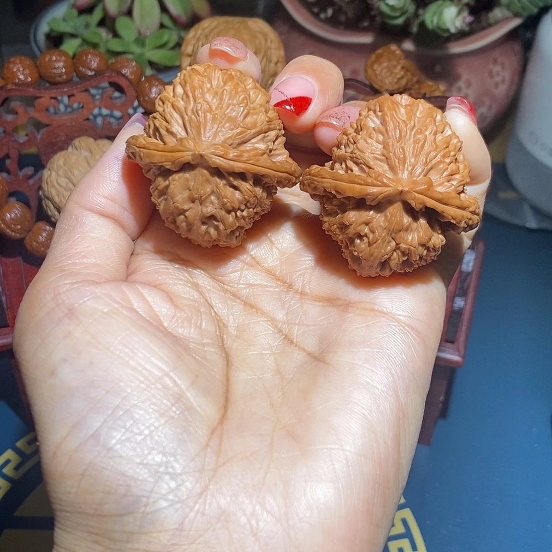 文玩核桃把件白狮子41.5