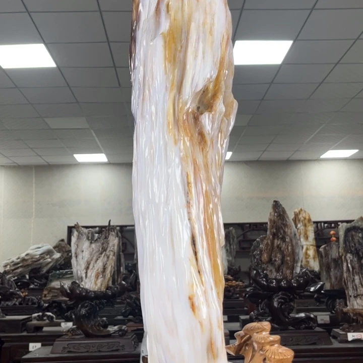 硅化玉未镶嵌树化玉摆件家居装饰设计摆件天然