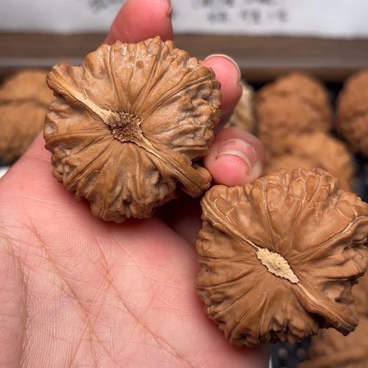 周***宋白狮子文玩核桃的