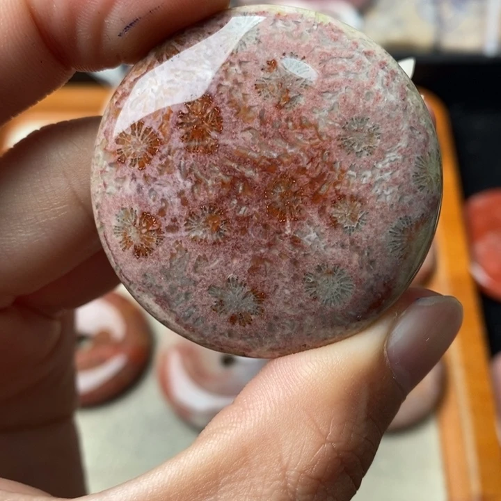 硅化玉颈饰未镶嵌用****8