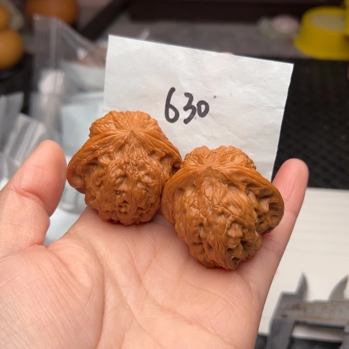 核桃43尺寸靠山王