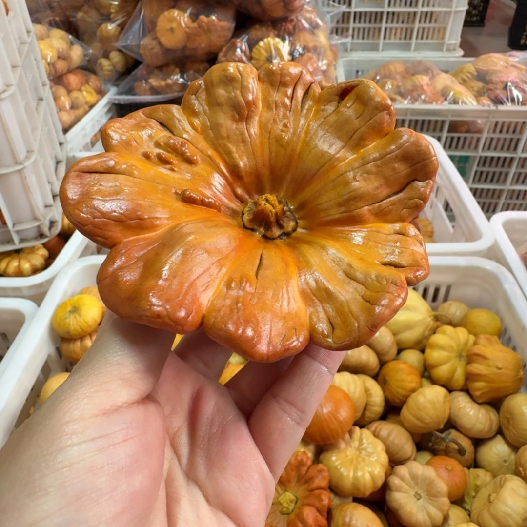 风***淡特价瑕疵葫芦不退不换