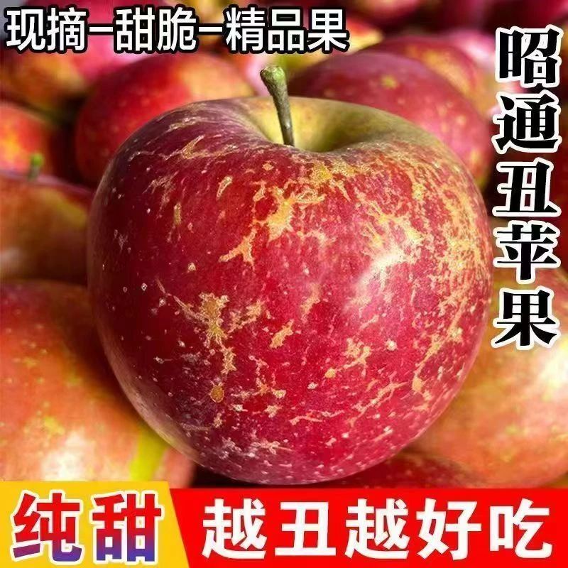 【精选大果】云南昭通丑苹果现摘新鲜脆甜多汁冰糖心水果