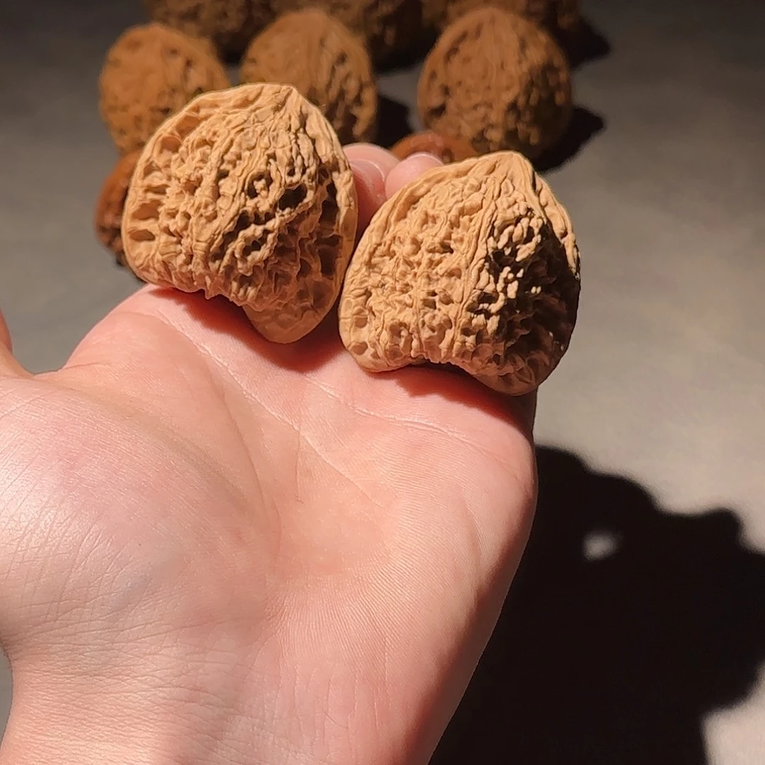 大叶紫檀（黑酸枝木类）