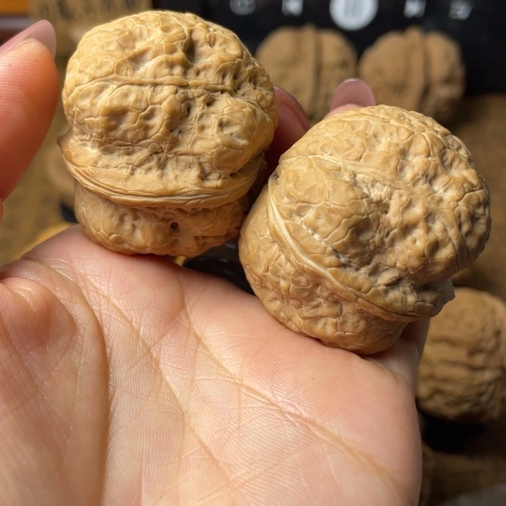 笑***风一物一拍如图所示32