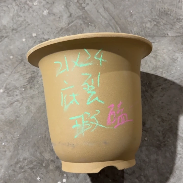 高度21口径24单只 微瑕
