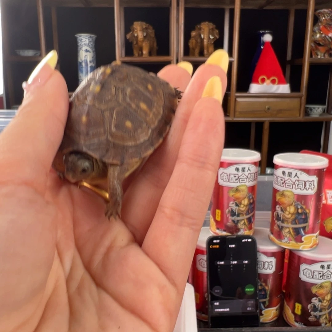 母拉*哥啦啦啦啦啦啦