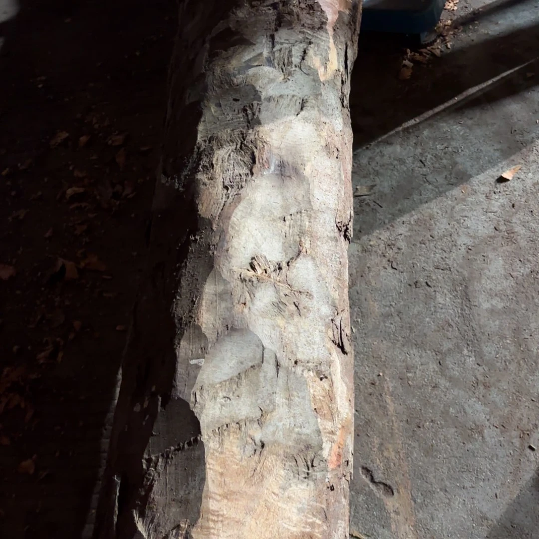 宾***达一物一拍血檀编码578