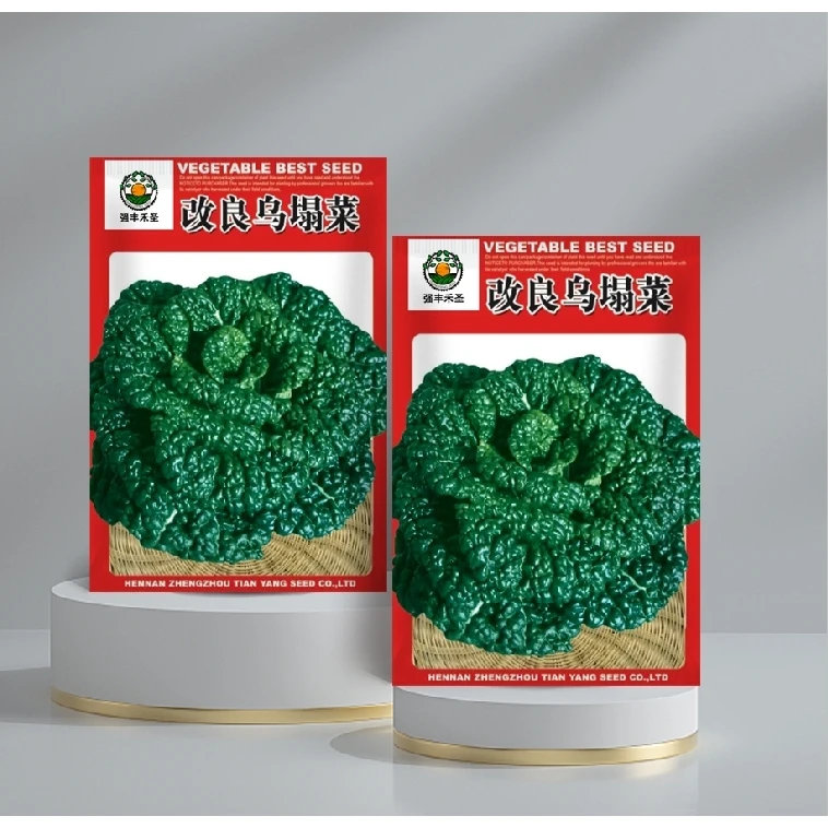 【全店满5元包邮】绿色乌塌菜种子易活青菜紫苏蔬菜种籽秋冬季菜籽