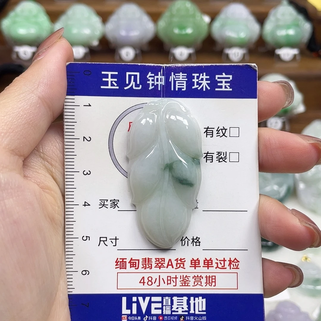 翡翠未镶嵌颈饰叶子