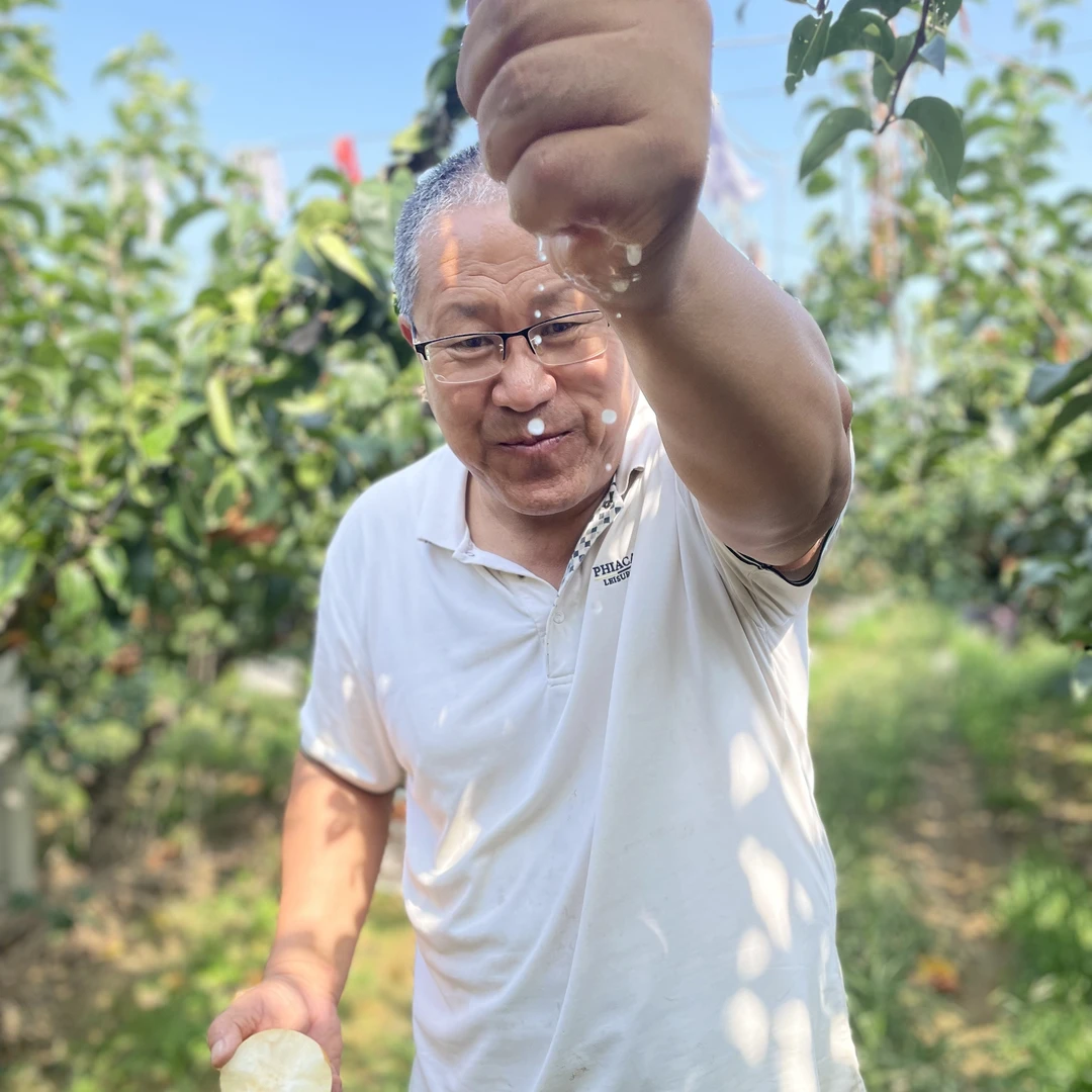 山东莱阳秋月梨之乡产地直发顺丰包邮梨子