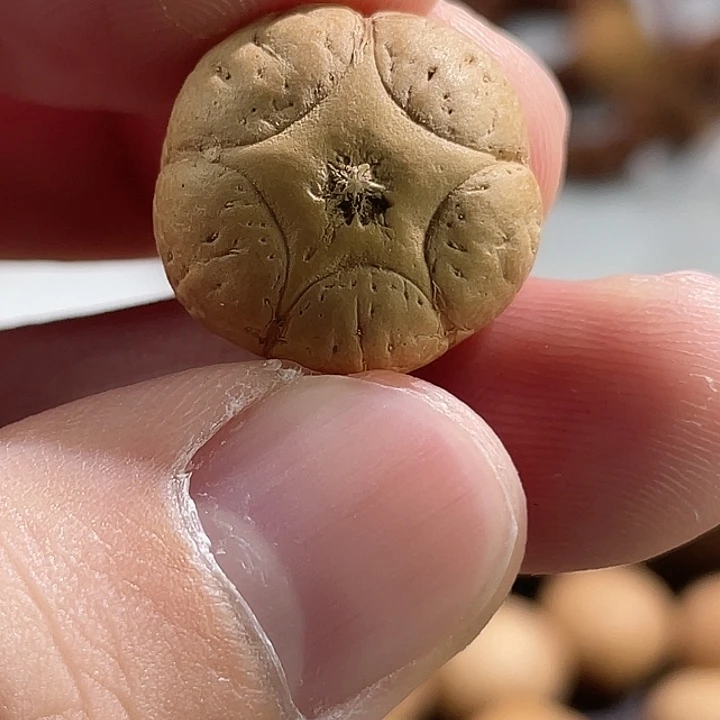 手串凤眼菩提尼泊尔小fy