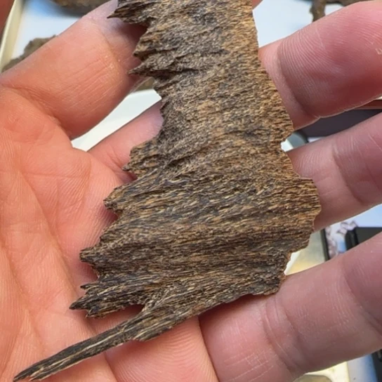 沉香摆件海南吊口3.6克