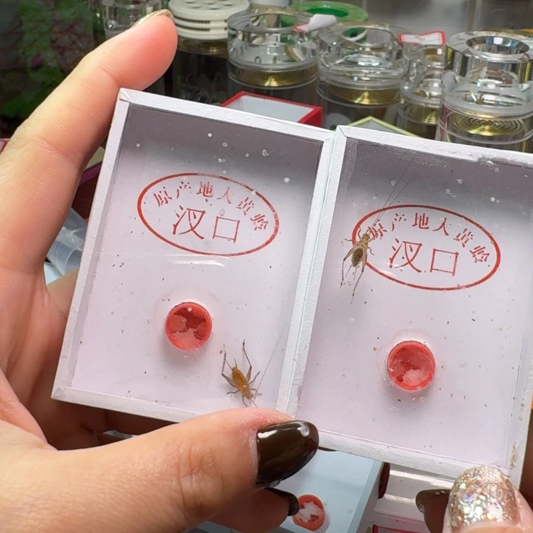 用***62条大黄。