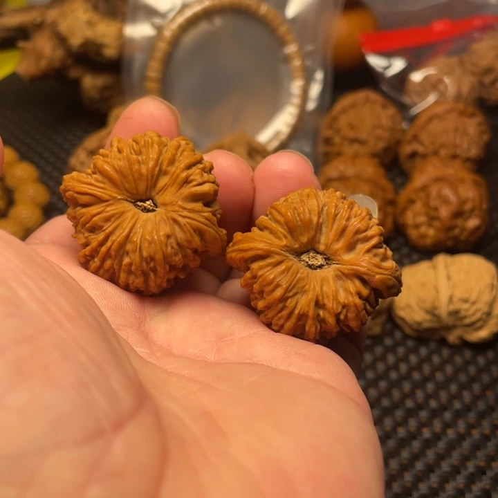 核桃37全品凹底南疆石
